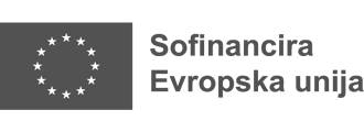 Sofinancira Evropska unija